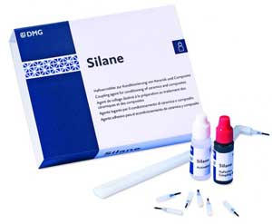 Silane, Two-component system, 1-3ml Activator, 50-Single-Use Brushes, 1 - Brush Holder. Perfect