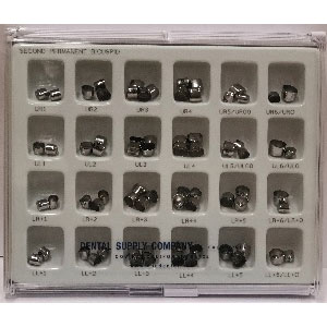 DSC 2nd Permanent bicuspid crown kit, stainless steel, package of 72 crowns