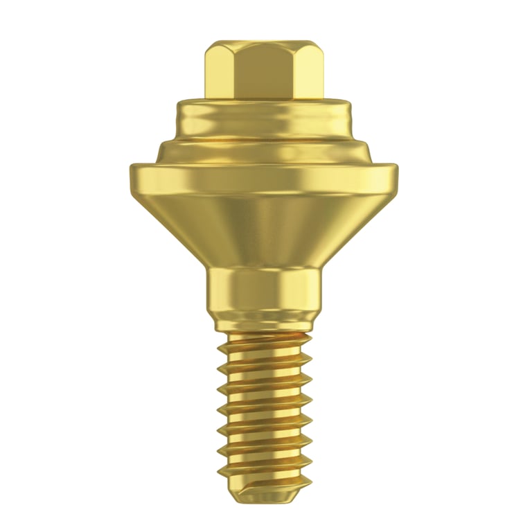 DSI 1.0mm Titanium Grade 23 Straight Multi-Unit Abutment, 2.42mm Internal Hex, RP Systems, 1/Pk