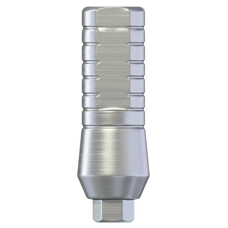 DSI 11.0mm Titanium Straight Abutment w/Fixation Screw, Ø2.42mm Internal Hex, RP, 1/Pk. Supports