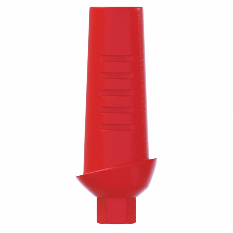 DSI 1.0mm Plastic Straight Anatomic Castable Abutment w/Screw, 2.42mm Internal Hex, RP, 1/Pk