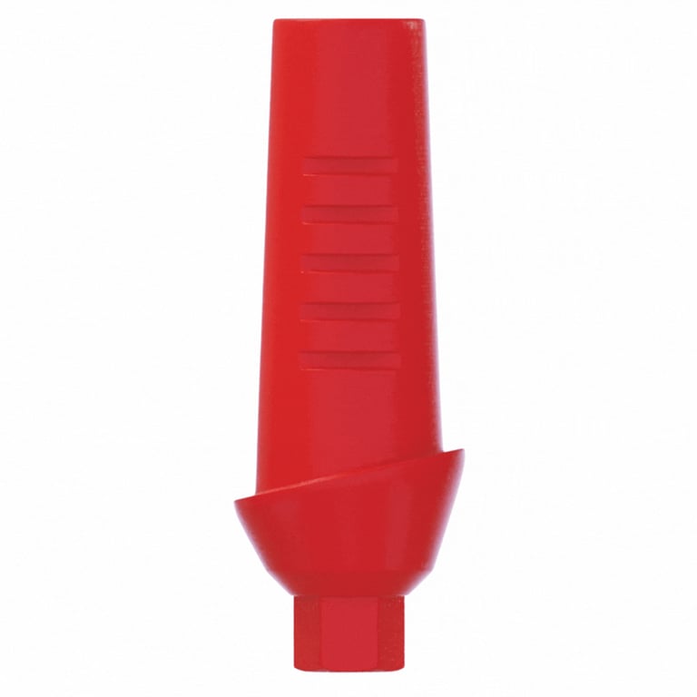 DSI 2.0mm Plastic Straight Anatomic Castable Abutment w/Screw, 2.42mm Internal Hex, RP, 1/Pk