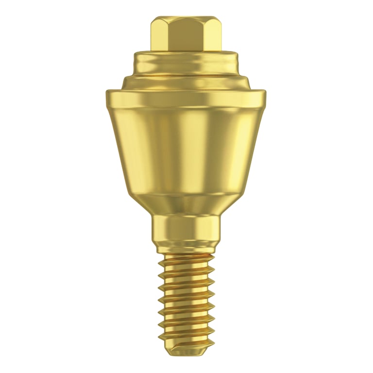 DSI 3.0mm Titanium Grade 23 Straight Multi-Unit Abutment, 2.42mm Internal Hex, RP Systems, 1/Pk