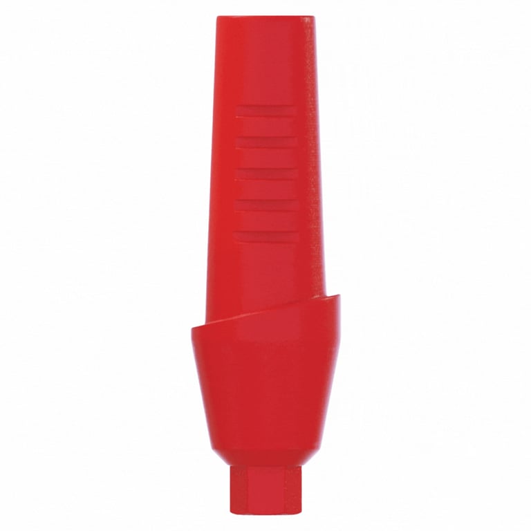 DSI 4.0mm Plastic Straight Anatomic Castable Abutment w/Screw, 2.42mm Internal Hex, RP, 1/Pk
