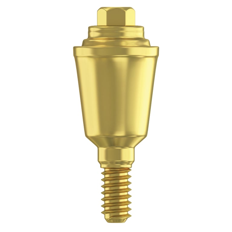DSI 5.0mm Titanium Grade 23 Straight Multi-Unit Abutment, 2.42mm Internal Hex, RP Systems, 1/Pk