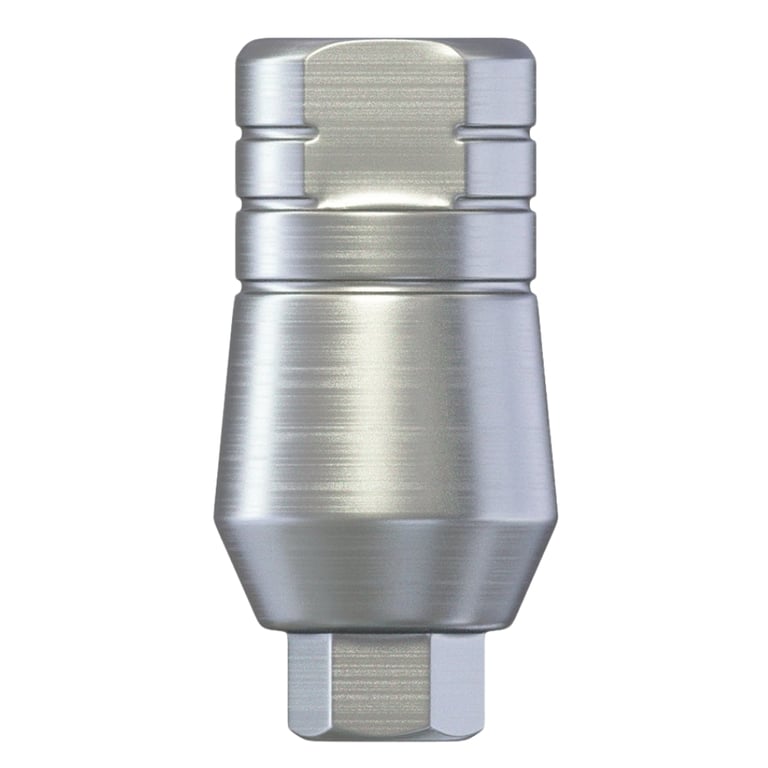 DSI 5.0mm Titanium Straight Abutment w/Fixation Screw, Ø2.42mm Internal Hex, RP, 1/Pk. Supports