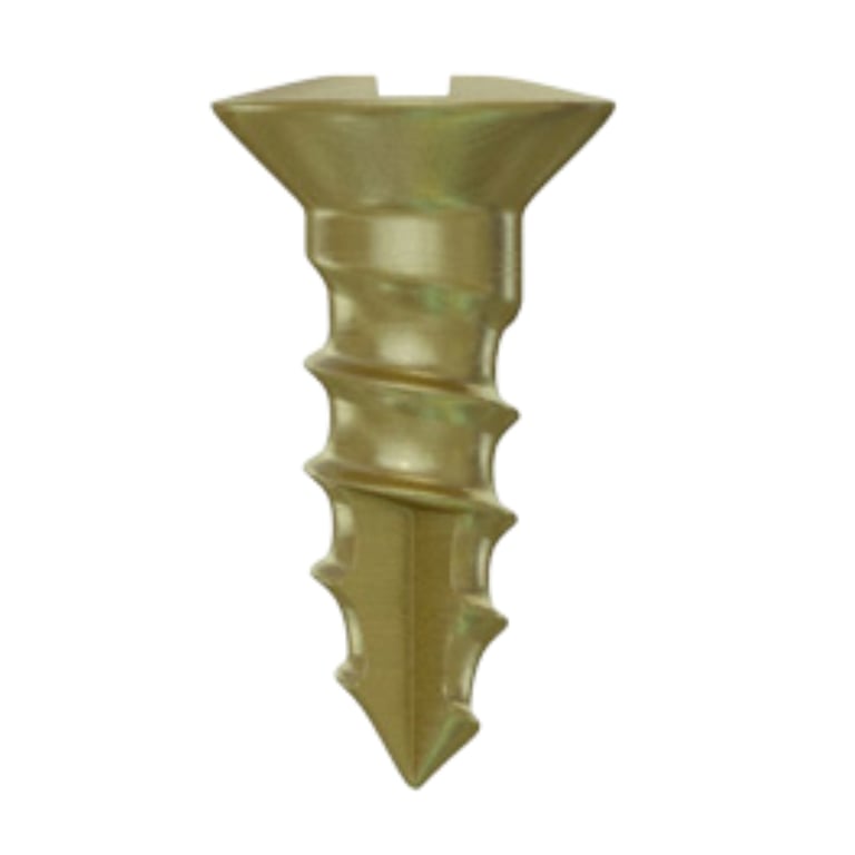 DSI GBR Ø1.4 x 3.0mm Titanium Bone Screw, Phillips Connection, 5/Pk. Secures titanium mesh