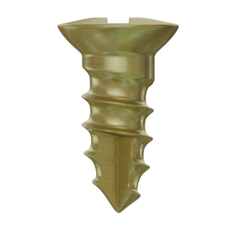 DSI GBR Ø1.6 x 3.0mm Titanium Bone Screw, Phillips Connection, 5/Pk. Secures titanium mesh