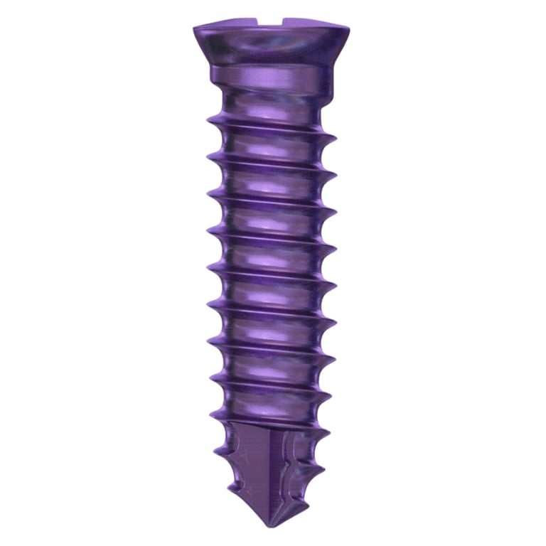 DSI GBR Ø2.0 x 8.0mm Titanium Bone Screw, Phillips Connection, 5/Pk. Secures titanium mesh