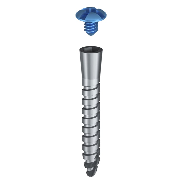 DSI GBR Titanium Tenting Screw w/Cover, 2.0 x 6mm, 1/Pk. Biocompatible titanium alloy construction