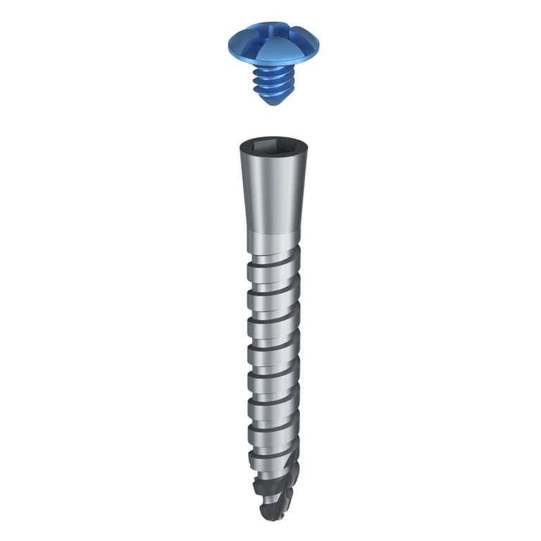 DSI GBR Titanium Tenting Screw w/Cover, 2.0 x 12mm, 1/Pk. Biocompatible titanium alloy