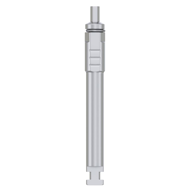 DSI Mountless Motor Mount Driver, Ø2.42mm Hex, 20mm, Stainless Steel, 1/Pk. Grips a mountless