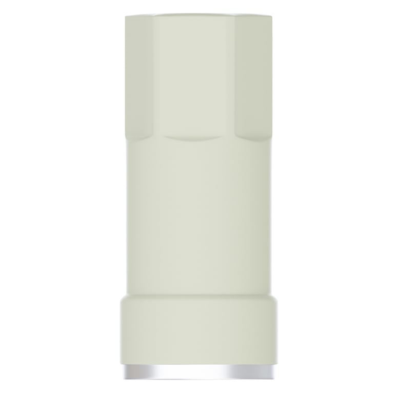DSI MUA-Level M1.4 13mm PEEK Scan Post w/Fixation Screw, 1/Pk. Captures digital impressions