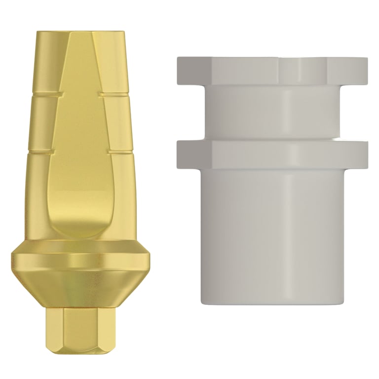 DSI Snap-On Anatomic 1.0mm Titanium Final Abutment & Transfer, 2.42mm Internal Hex, 1/Pk. Serves