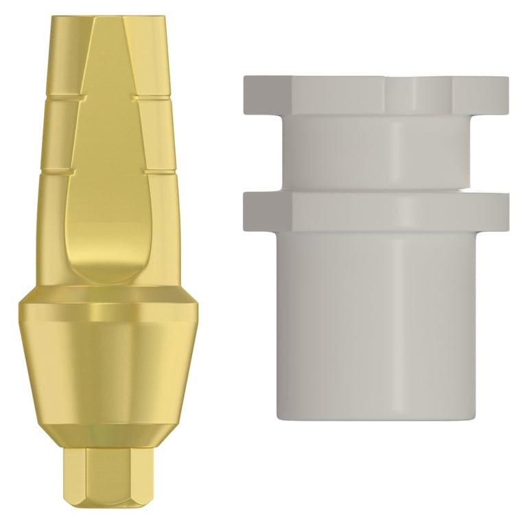 DSI Snap-On Anatomic 3.0mm Titanium Final Abutment & Transfer, 2.42mm Internal Hex, 1/Pk. Serves
