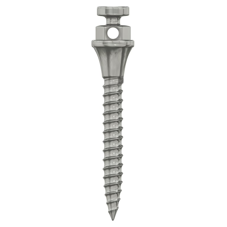 DSI Titanium TAD Miniscrew, Ø1.5 x 10mm, 1/Pk. Establishes skeletal anchorage for non-surgical