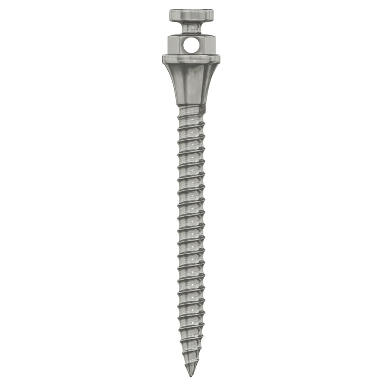 DSI Titanium TAD Miniscrew, Ø1.5 x 14mm, 1/Pk. Establishes skeletal anchorage for non-surgical