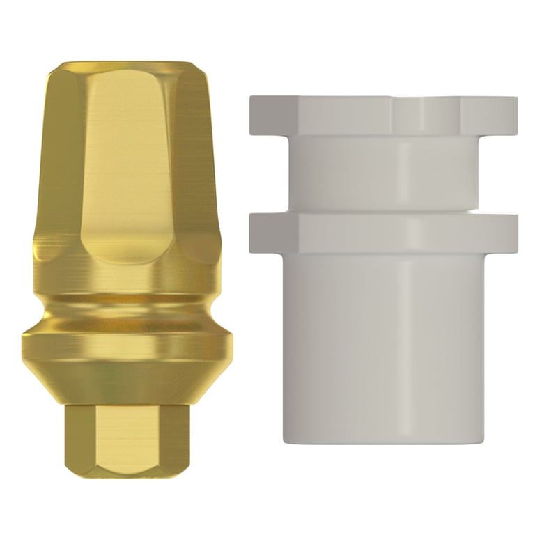 DSI Type C Concave Prosthetic Kit, 2.42mm RP Internal Hex, GH 1.0mm, 1/Set. Includes: 1 x transfer