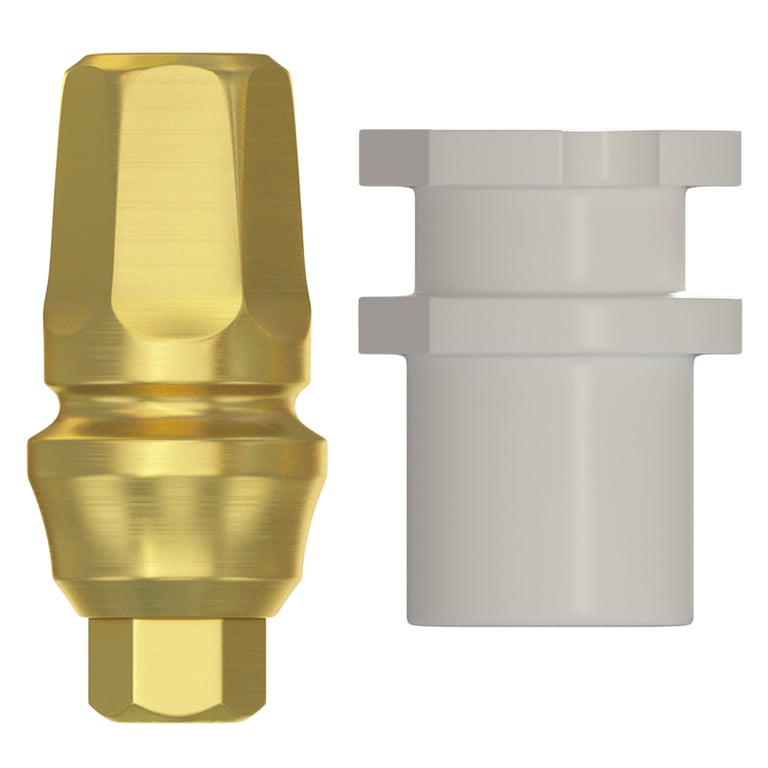 DSI Type C Concave Prosthetic Kit, 2.42mm RP Internal Hex, GH 2.0mm, 1/Set. Includes: 1 x transfer