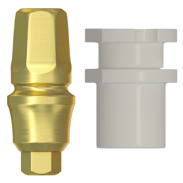 DSI Type C Concave Prosthetic Kit, 2.42mm RP Internal Hex, GH 3.0mm, 1/Set. Includes: 1 x transfer