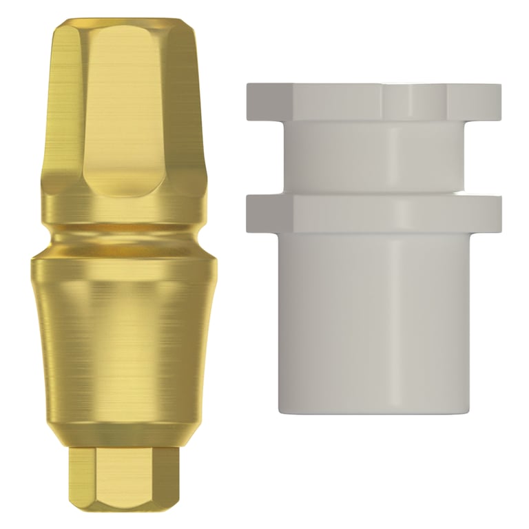 DSI Type C Concave Prosthetic Kit, 2.42mm RP Internal Hex, GH 4.0mm, 1/Set. Includes: 1 x transfer