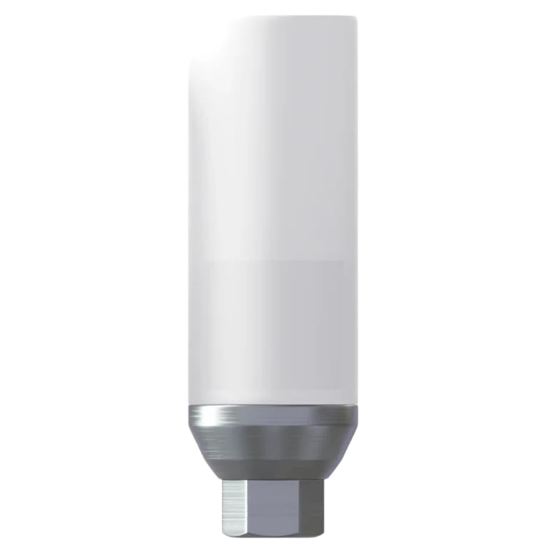 DSI UCLA Chrome Cobalt Straight Castable Abutment w/Fixation Screw, Internal Hex Ø2.42mm, 1/Pk