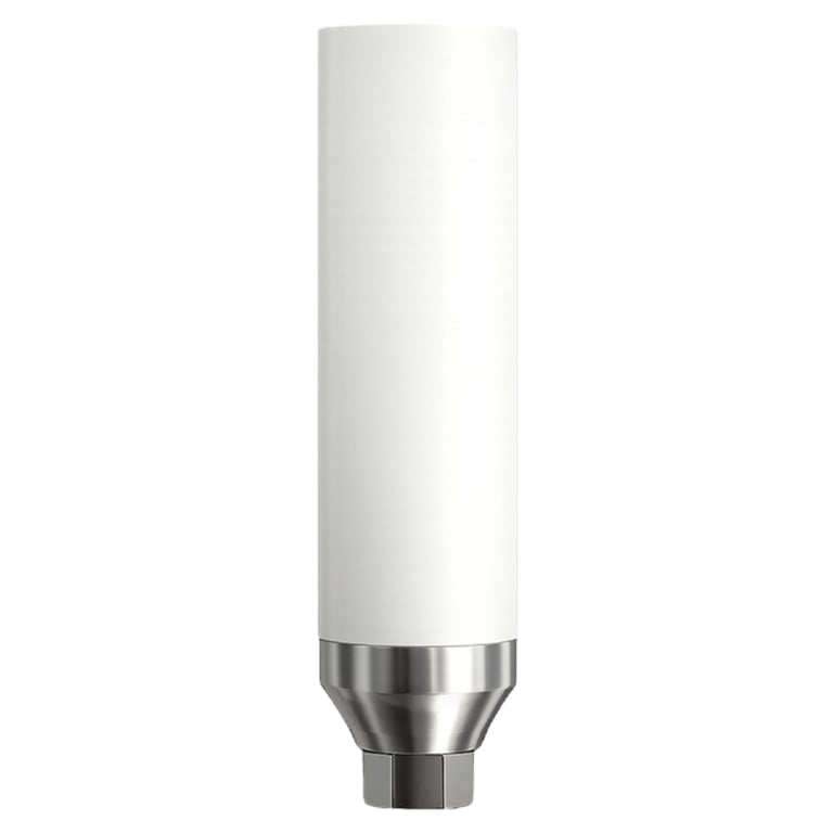 DSI UCLA Chrome Cobalt Straight Castable Abutment w/Fixation Screw, GH 1.5mm, Int Hex Ø2.42mm