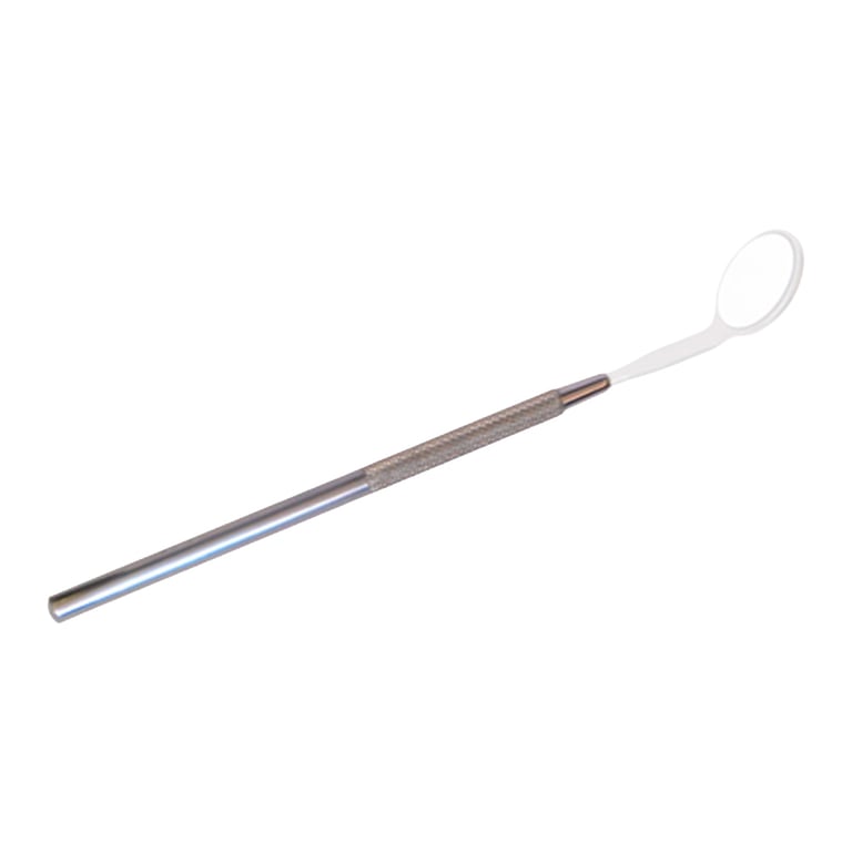 C-Mor Stainless Steel Mirror Handle, CONE SOCKET, Round. **This handle is compatible with CONE