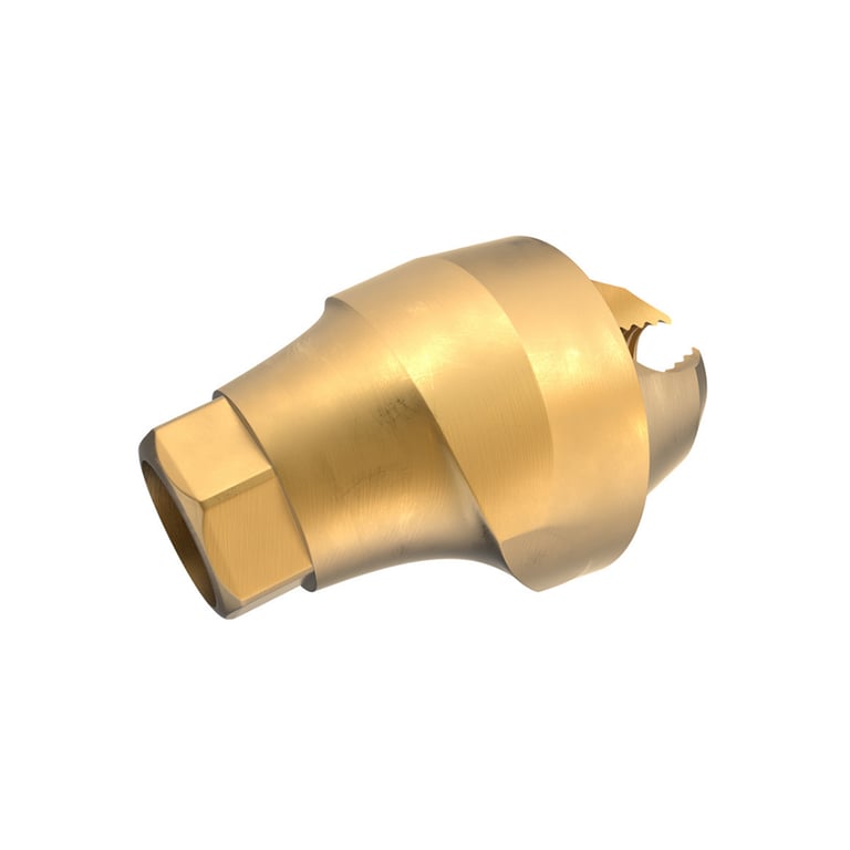 GDT Ø4.8mm Titanium Angulated Multi-Unit 1.6mm Abutment, 1.0mm GH, 17°, RP, 1/Pk. Designed