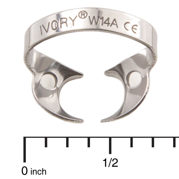 Ivory Clamps #W14A Wingless Downward Sloped Jaws for Large, Partially Erupted Molars Metal Rubber