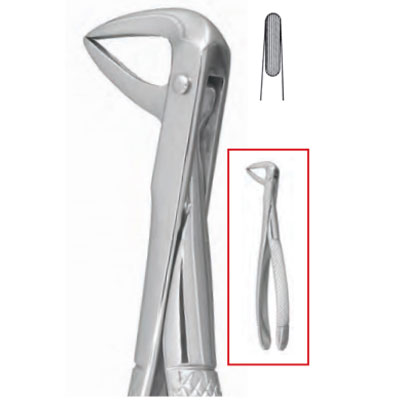 House Brand #74 English pattern surgical extracting forceps