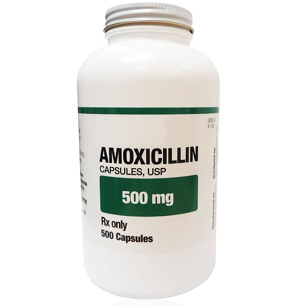 House Brand Amoxicillin 500 mg, Bottle of 500 Capsules