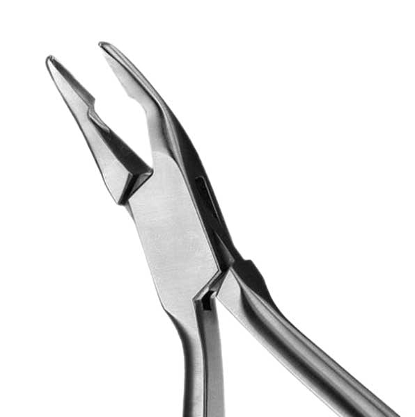 House Brand Blumenthal Rongeur with 6" handle and 30 degree jaws