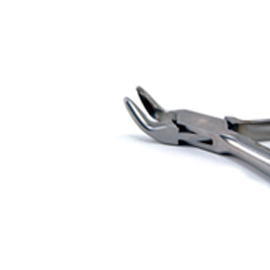 House Brand 6" Blumenthal Rongeur with 45 degree Tips