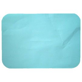 House Brand Patient Bibs AQUA 13" x 18" 2-Ply Paper/1-Ply Poly, Plain Rectangle 500/Case