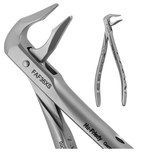 Atraumair #36 Apical Forceps, for extracting lower incisors and canines. forceps are designed