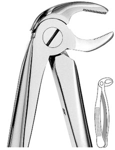 Hu-Friedy #13 lower cuspids and bicuspids english pattern extracting forceps