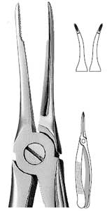 Hu-Friedy #49 European Style Extracting Forceps with Serrated Ends