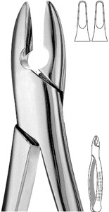 Presidential #1 standard upper incisor and cuspid surgical Forceps