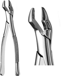 Presidential #10S upper molars, universal surgical forceps