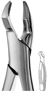Presidential #210S upper 3rd molar universal serrated surgical Forceps
