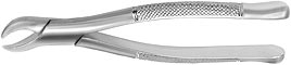 Presidential #23 Cowhorn Surgical Forceps, lower 1st and 2nd molar universal