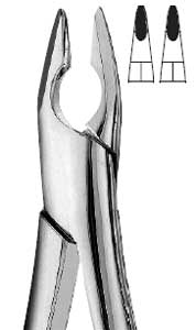 Presidential #1 Upper Anterior Apical Retention Forceps, with Thin, Sharp, and Tapered Beaks