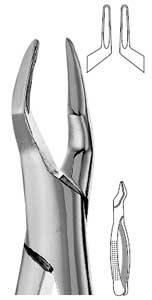 Presidential #65 Surgical Forceps Upper Incisors and Roots