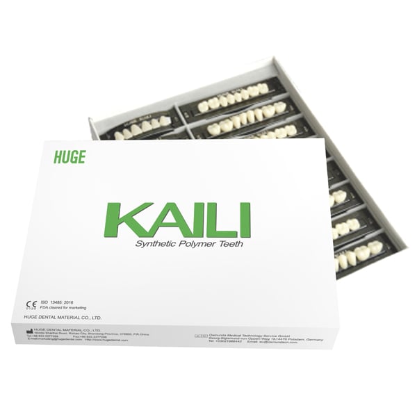 Kaili Synthetic Polymer Denture Teeth, T6/L6/32, 