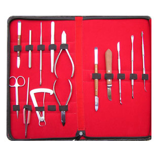JSP DENTAL TOOL KIT: 14 assorted tools including, tweezers, wax knives, tweezers, wax tools