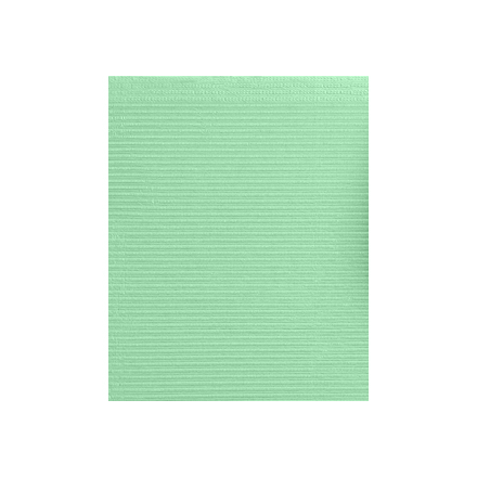 Dry-Back Plus Medicom Green plain rectangle (13" x 18") 3 ply Paper/1 ply Poly Patient Bib, Case