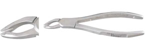 Grip Deep #150 Upper Incisors, Cuspids, Bicuspids
