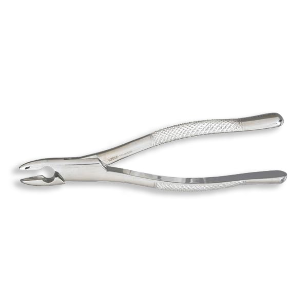 Vantage #1 standard upper incisor and cuspid surgical Forceps