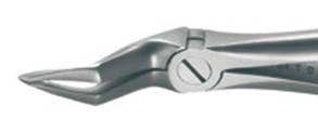 Xcision Extracting Forceps, #51SB, Upper Roots Universal